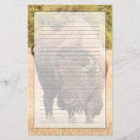 Bison