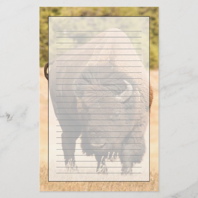 Bison Stationery (Front)