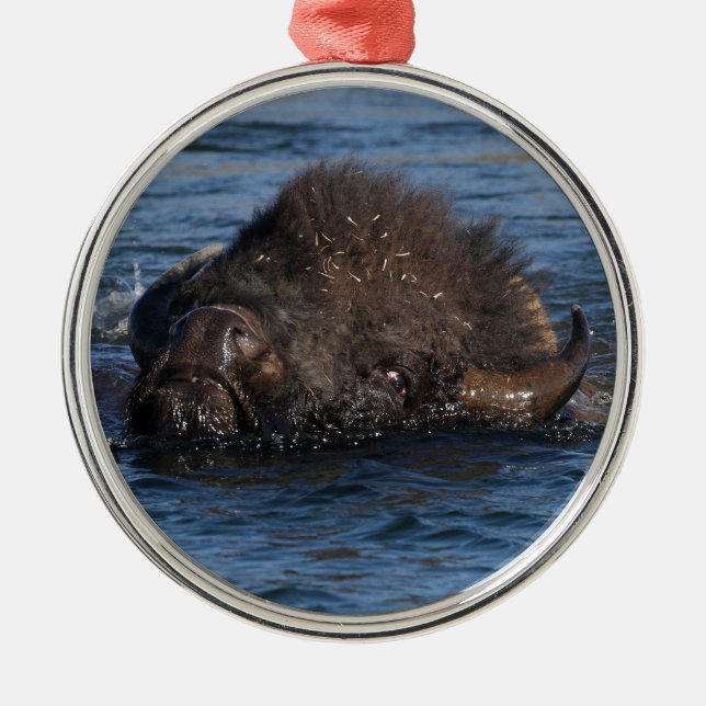 bison swimming metal tree decoration (Front)