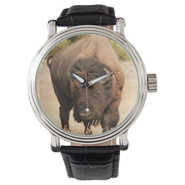 Bison Watch (Front)