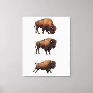 Bison Wildlife Wall Art Poster