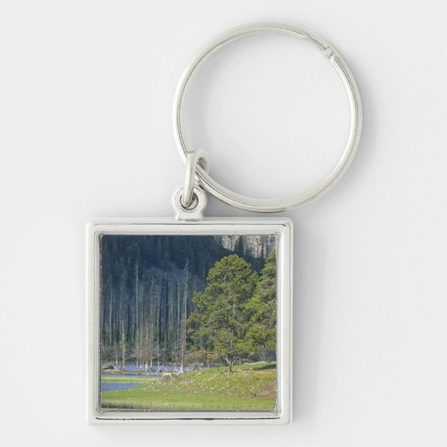 Bison with calf at Yellowstone National Park Key Ring (Front)