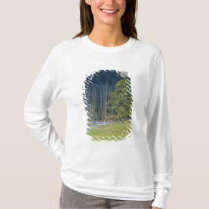 Bison with calf at Yellowstone National Park T-Shirt
