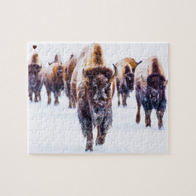 Bison Yellowstone Wyoming Jigsaw Puzzle (Horizontal)
