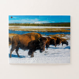 Bison Yellowstone Wyoming Jigsaw Puzzle