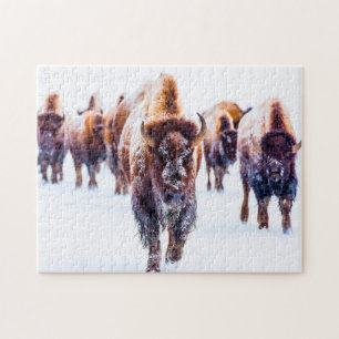 Bison Yellowstone Wyoming. Jigsaw Puzzle
