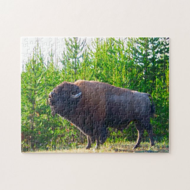 Bisson Montana. Jigsaw Puzzle (Horizontal)