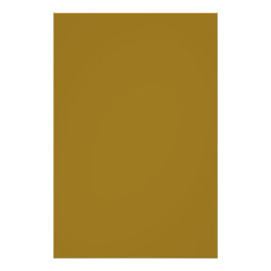 Bistre Brown (solid colour) Photo Print