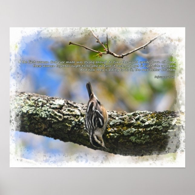 Bitd in tree Sojourner Truth quote Poster (Front)