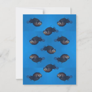 Bite Me Postcard