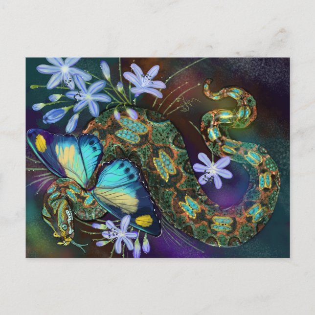 Bitis Nasicornis Butterfly Viper Postcard (Front)