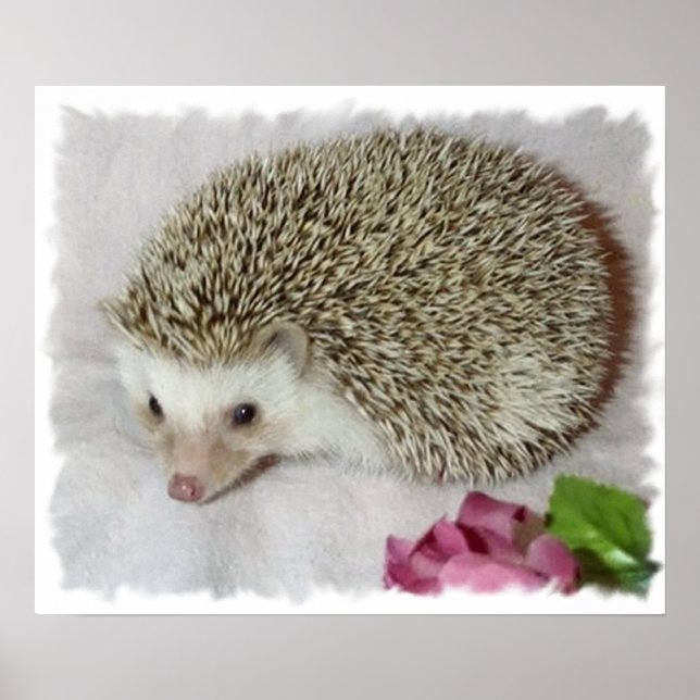 Bitsy the Hedgehog Poster (Front)