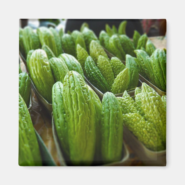 Bitter Melon Cucumber City Market Kansas City Magnet (Front)