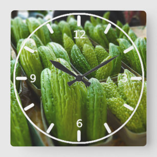 Bitter Melon Cucumber City Market Kansas City Square Wall Clock