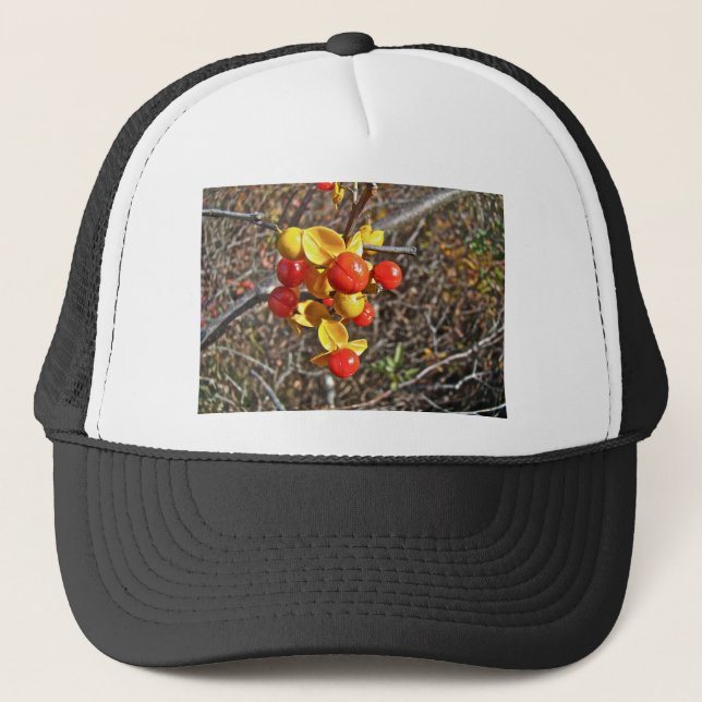 Bittersweet Vine Berries Items Trucker Hat (Front)