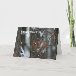 Bittersweet Winter Holiday Card