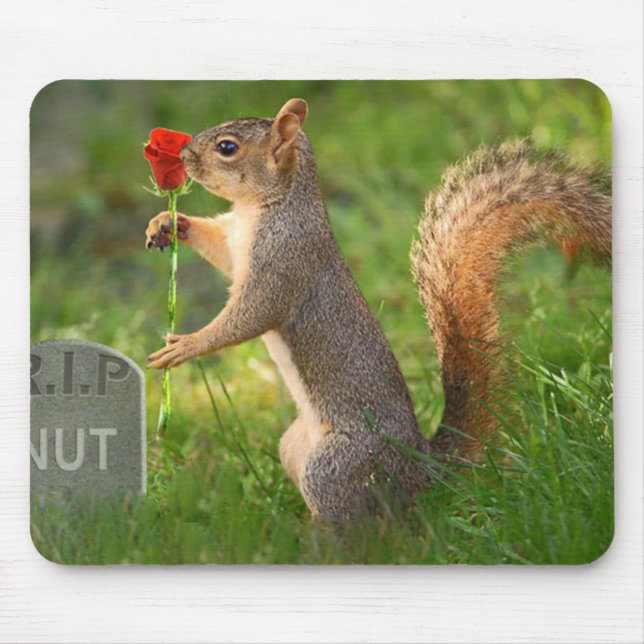 BizzareWorld Mourning Squirrel Mouse Pad (Front)