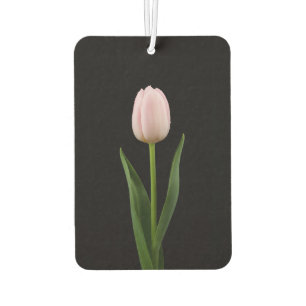 Black 4 Luxe Car Air Fresheners Blush Pink Tulip