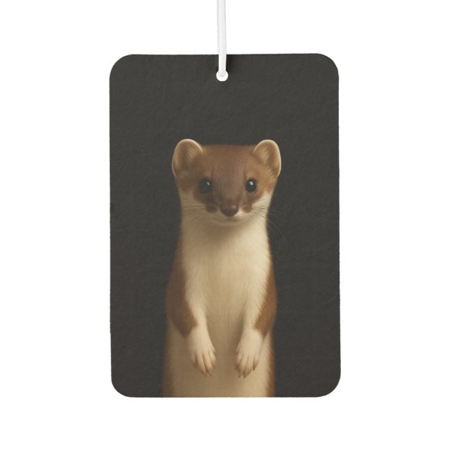 Black 4 Luxe Car Air Fresheners, Elegant Weasel Freshener (Front)