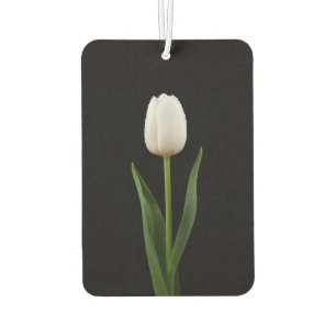 Black 4 Luxe Car Air Fresheners Pearl White Tulip