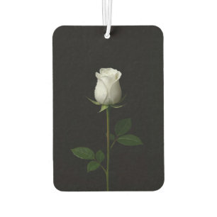 Black 4 Luxe Car Air Fresheners, Pure White Rose Freshener