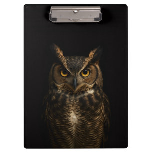 Black 4 Luxe Clipboard, Golden Eyed Owl Clipboard
