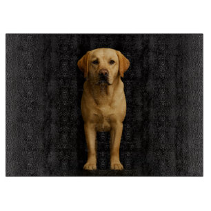 Black 4 Luxe Glass board Minimalist Labrador