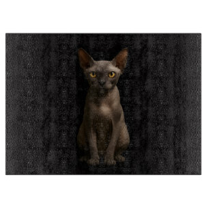 Black 4 Luxe Glass board Sphynx Cat
