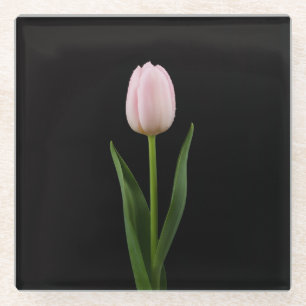 Black 4 Luxe Glass coaster, Blush Pink Tulip Coaster