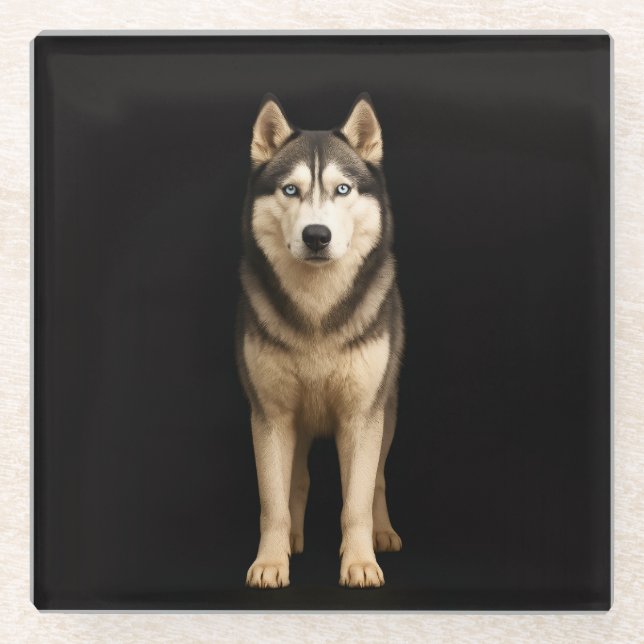 Black 4 Luxe Glass coaster, Icy Elite Husky Coaster (Front)