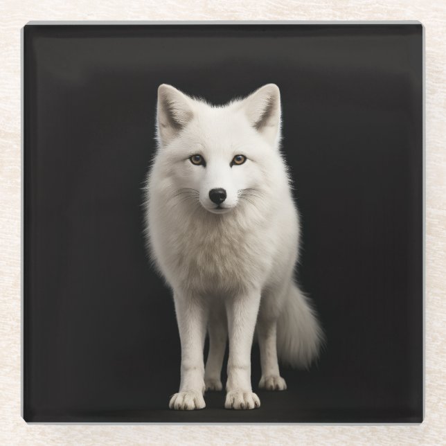 Black 4 Luxe Glass coaster, Ivory Arctic Fox Coaster (Front)
