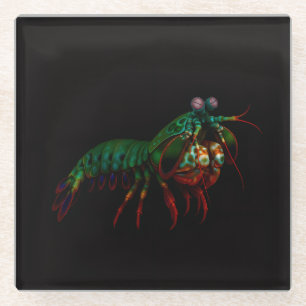 Black 4 Luxe Glass coaster, Mantis Shrimp Glass Coaster