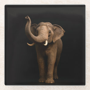 Black 4 Luxe Glass coaster, Mighty Elephant Coaster