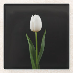 Black 4 Luxe Glass coaster, Pearl White Tulip Coaster