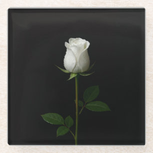 Black 4 Luxe Glass coaster, Pure White Rose Coaster