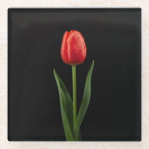 Black 4 Luxe Glass coaster, Ruby Red Tulip Coaster