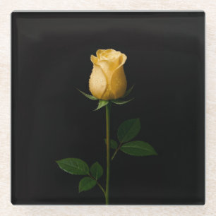 Black 4 Luxe Glass coaster, Sunlit Yellow Rose Coaster