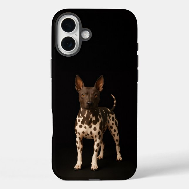Black 4 Luxe iPhone 16 Plus, Hairless Terrier Dog Case-Mate iPhone Case (Back)