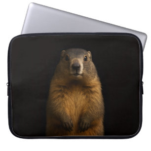 Black 4 Luxe Laptop Sleeve, Fluffy Marmot Laptop Sleeve