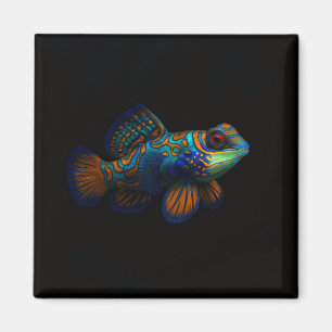 Black 4 Luxe Magnet with Mandarin Dragonet Fish