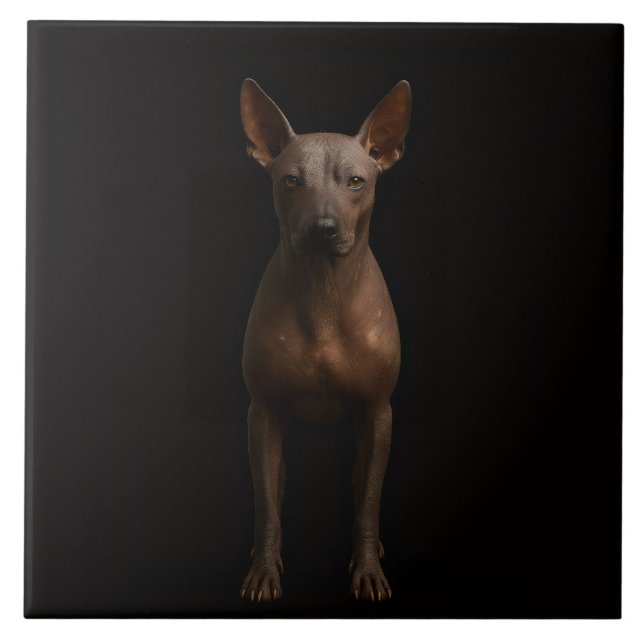 Black 4 Luxe Tile with Argentine Pila Dog (Front)