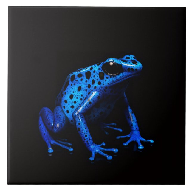 Black 4 Luxe Tile with Blue Electric Frog (Front)