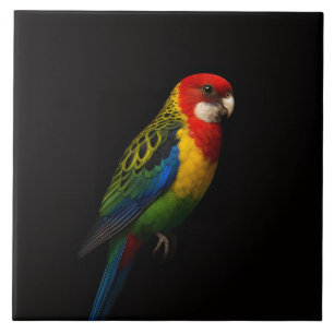 Black 4 Luxe Tile with Eastern Rosella Parrot