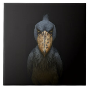 Black 4 Luxe Tile with Exotic Shoebill Bird