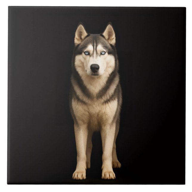 Black 4 Luxe Tile with Icy Elite Husky (Front)