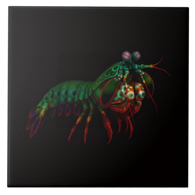 Black 4 Luxe Tile with Mantis Shrimp (Front)