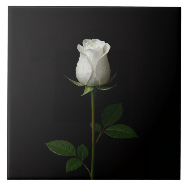 Black 4 Luxe Tile with Pure White Rose (Front)