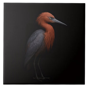 Black 4 Luxe Tile with Reddish Egret