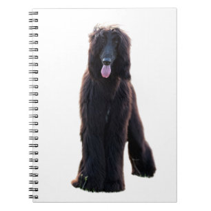 black Afghan Notebook