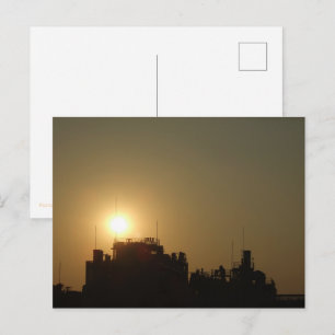 Black against the golden glow of the setting sun. postcard